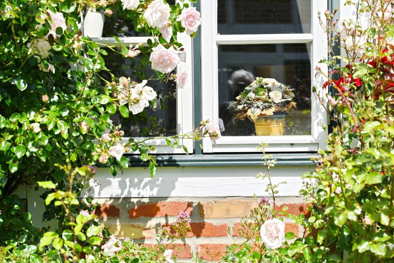 Landhaus Vilmnitz - Wohnung 10 エクステリア 写真