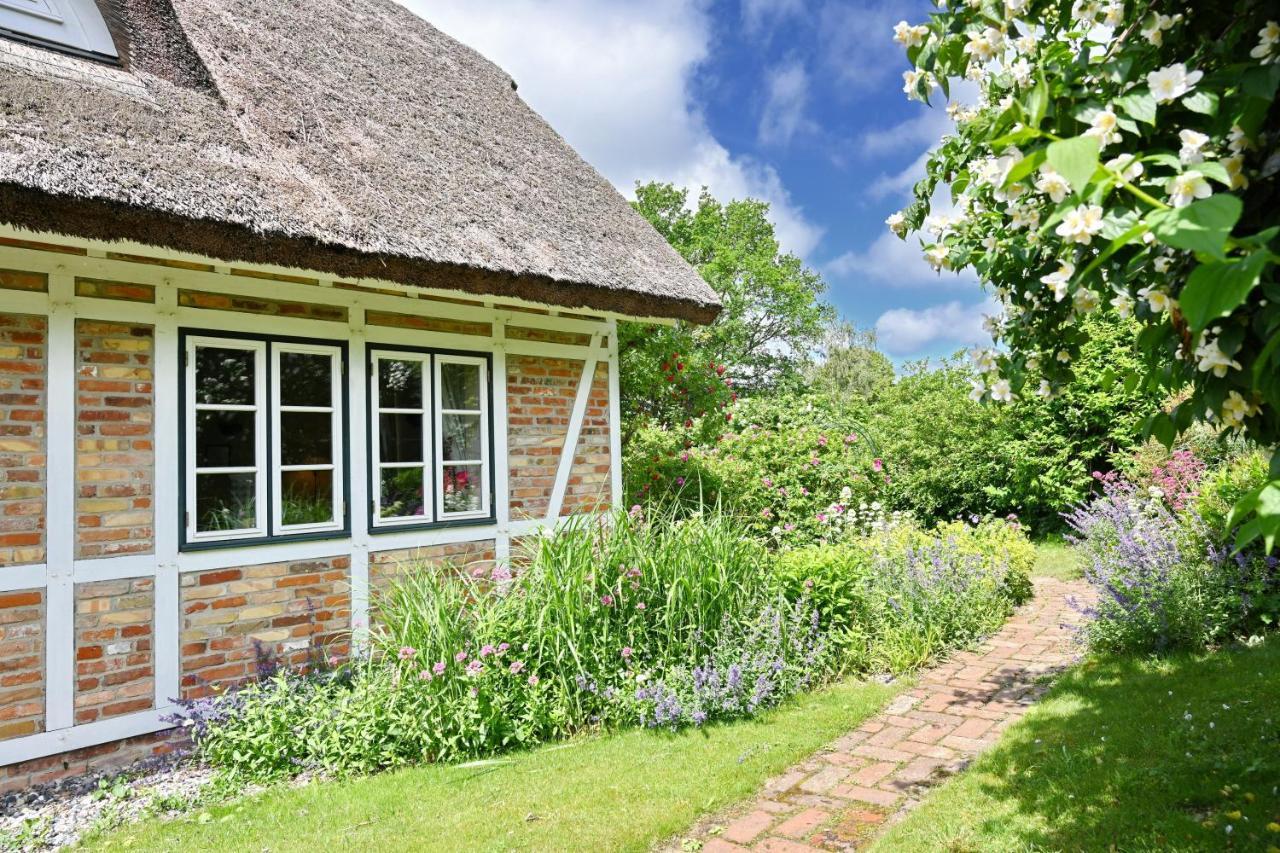 Landhaus Vilmnitz - Wohnung 10 エクステリア 写真